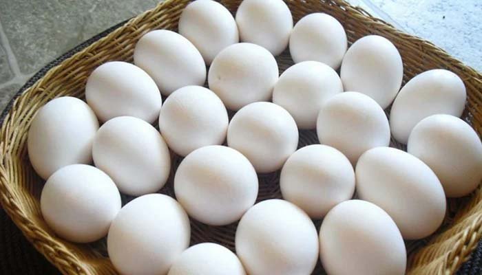 ایران میں انڈا ’سلیبرٹی‘ بن گیا، مہنگائی کے خلاف انوکھا سوشل میڈیا ٹرینڈ توجہ کا مرکز بن گیا