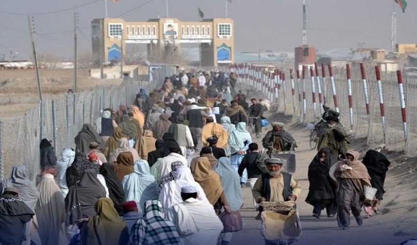 راتوں رات بڑا ایکشن! غیر قانونی مقیم افراد کیخلاف کریک ڈاؤن، 158 گرفتار، اگلا قدم کیا ہوگا؟جانئے