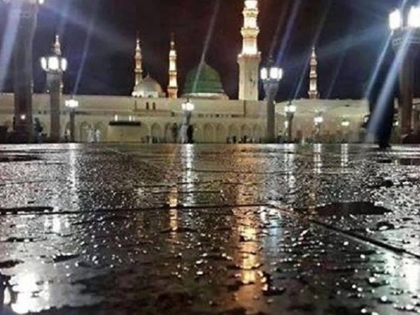 مسجد نبوی ﷺ کے اطراف شجرکاری، 10 ہزار مربع میٹر رقبہ سبزہ زار میں تبدیل