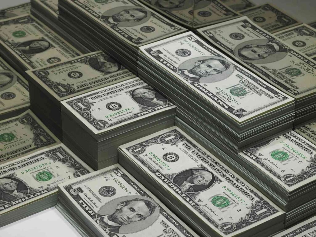 سرکاری قرضوں میں 10 سال کے دوران 340 فیصد کا تاریخی اضافہ
