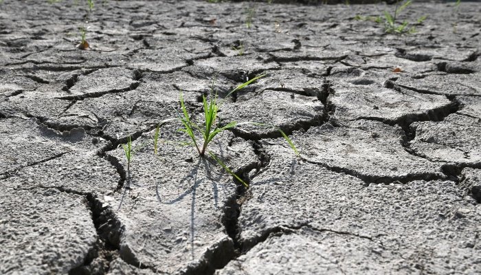 اگست 2026 انسانی تاریخ کا گرم ترین مہینہ قرار
